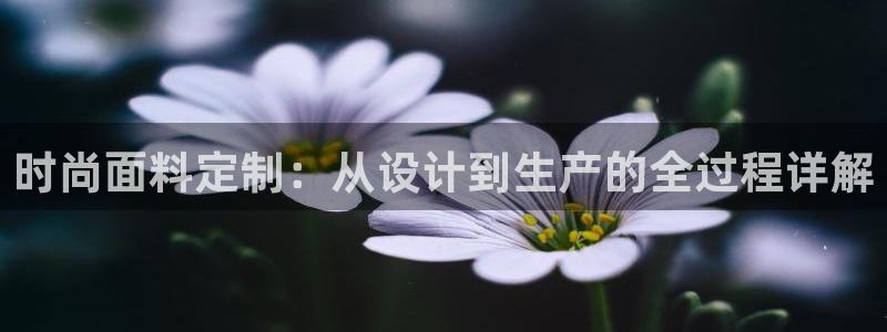 集宁天辰娱乐