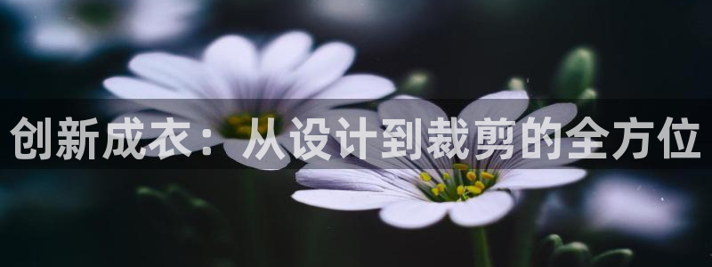 天辰娱乐登陆