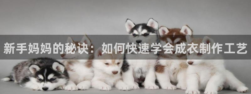 天辰娱乐测速