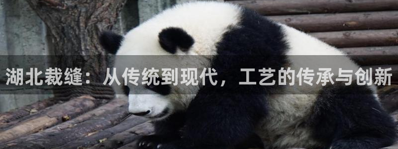 天辰娱乐论坛