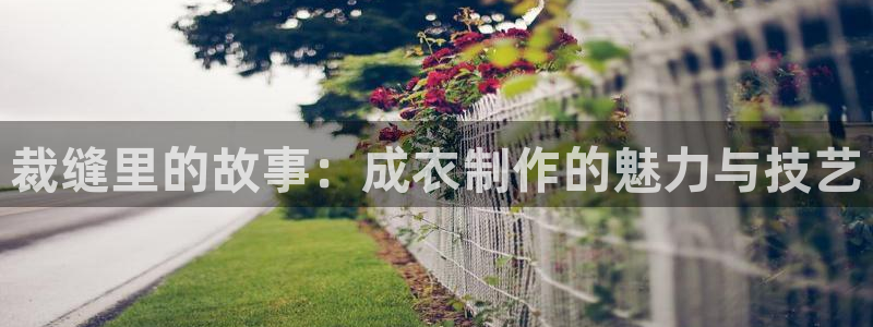 天辰娱乐下载