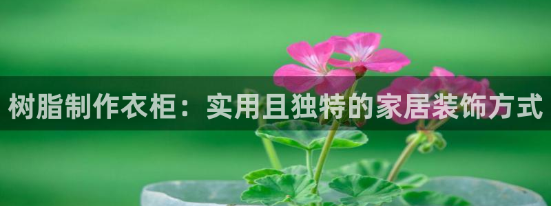 天辰娱乐的网址首页