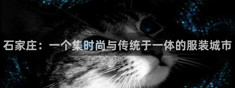 天辰臣娱乐