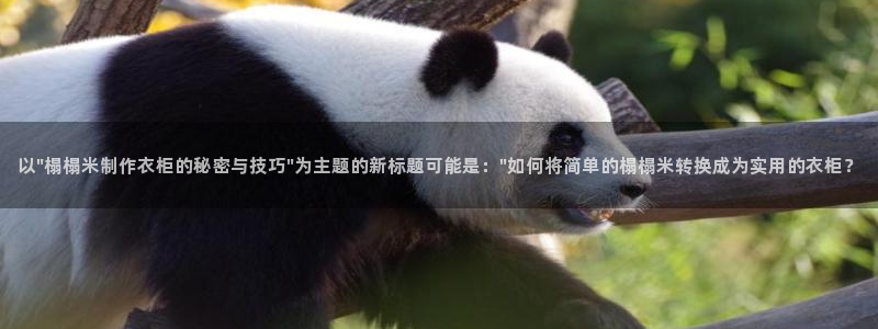 天辰娱乐所
