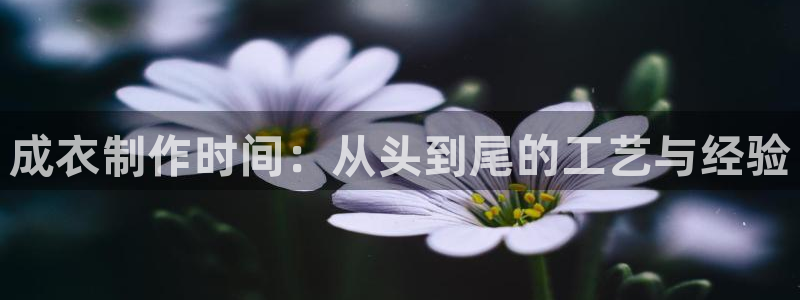 天辰娱乐481928