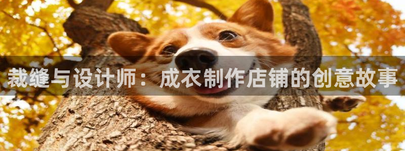天辰娱乐10086