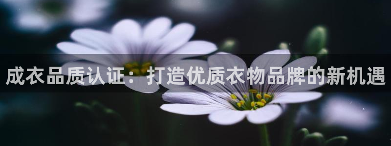 天辰娱乐鱼刺