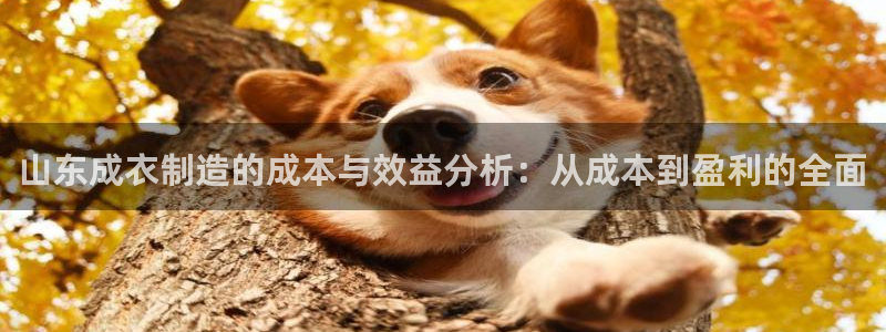 天辰娱乐官