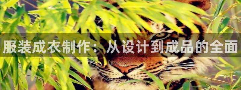 常州天辰娱乐