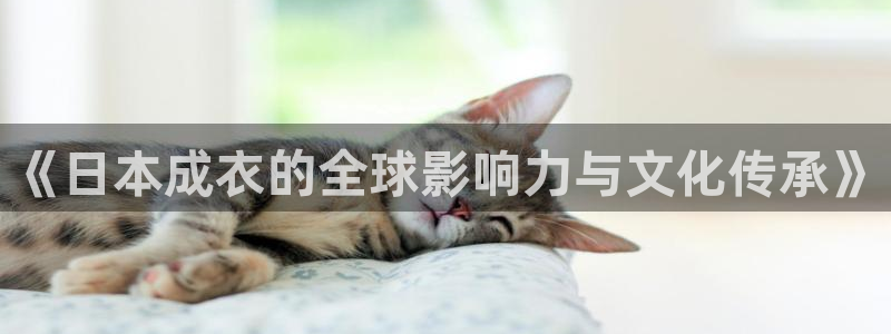 天辰娱乐1966