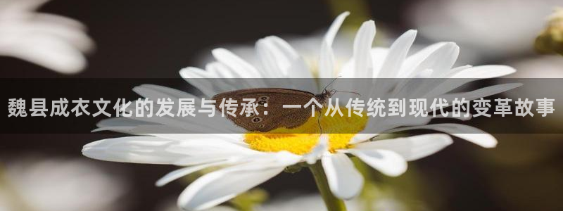 天辰彩票娱乐