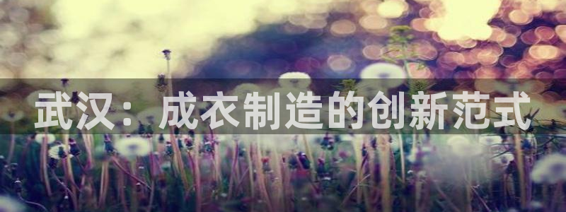 天辰臣娱乐