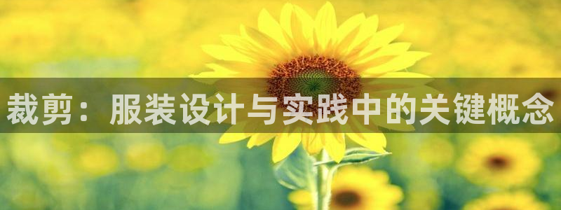 天辰娱乐1966