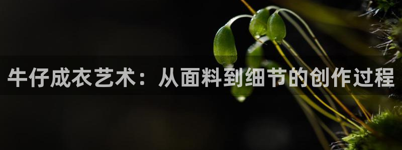 天辰娱乐会所