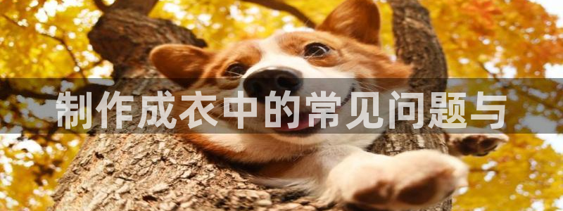 天辰娱乐登录测试