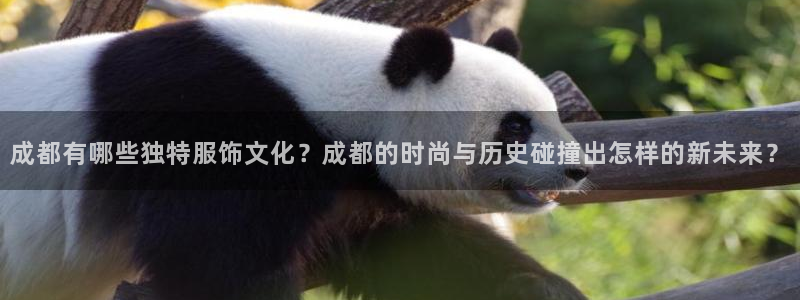 天辰娱乐小姐