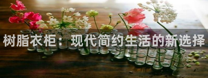 天辰娱乐论坛