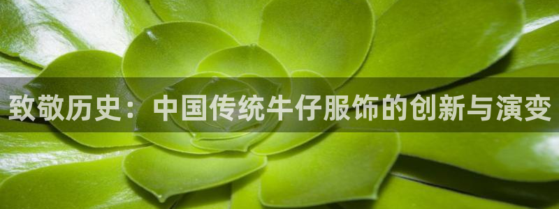 天辰娱乐海洋