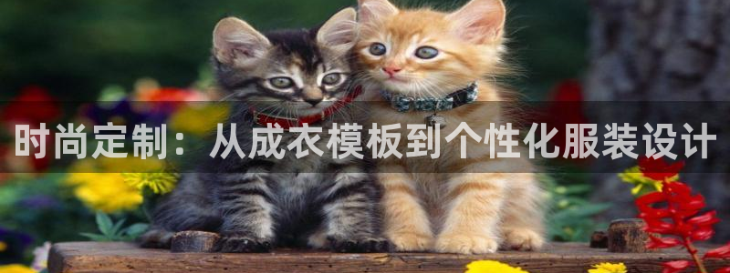 天辰娱乐平台地址