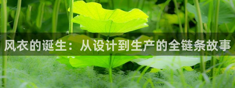 天辰娱乐 44516