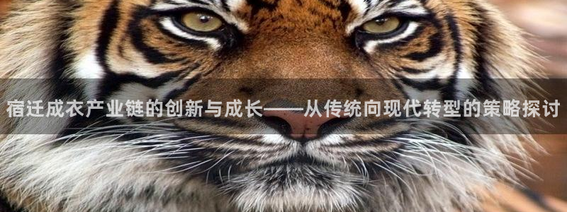 天辰娱乐连接