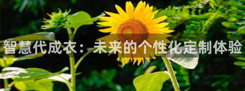 天辰娱乐小妹