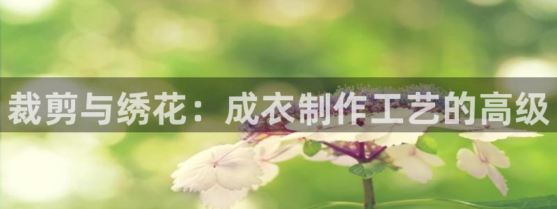 天辰娱乐2