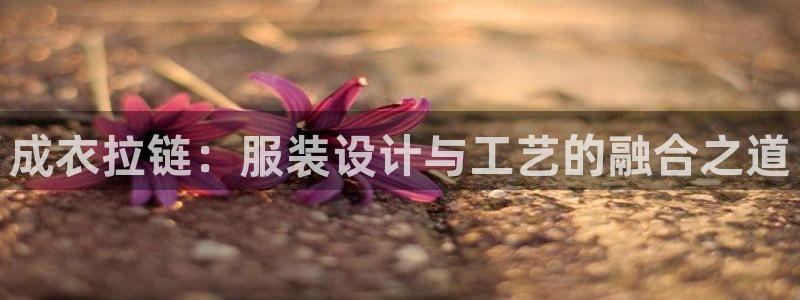 天辰娱乐_ 18113