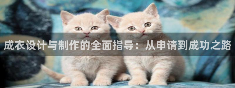 天辰娱乐输了