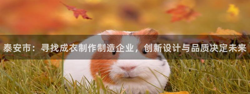 天辰娱乐平台靠谱么