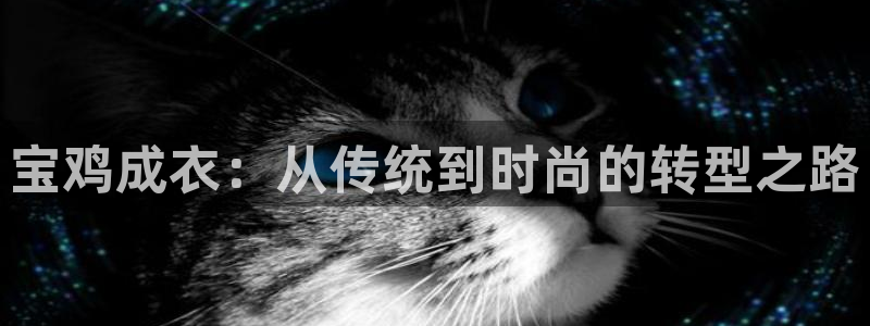 天辰娱乐彩票