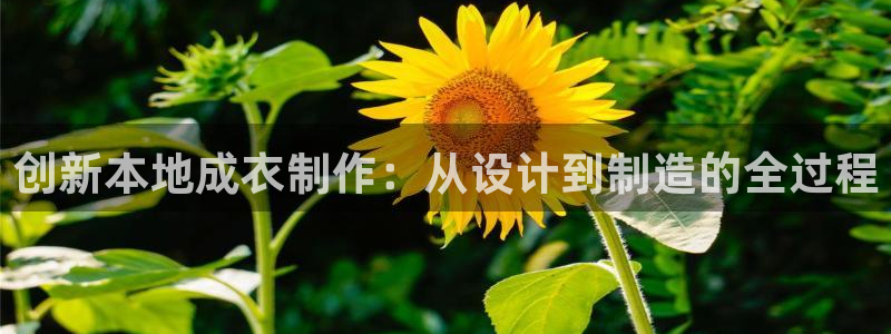 天辰娱乐平台app下载