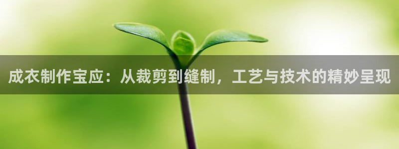 天富天辰娱乐