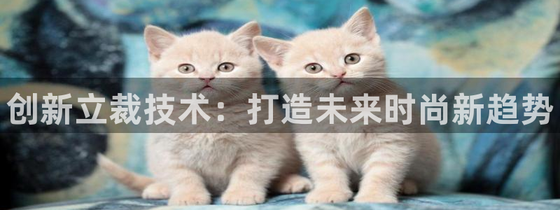 天辰娱乐维护