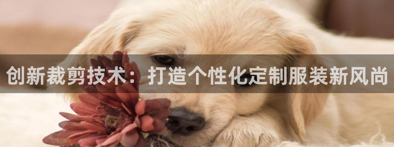 天辰娱乐登陆