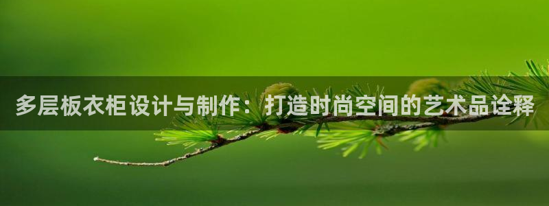 天辰娱乐所