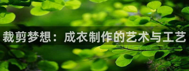 天辰娱乐 231639