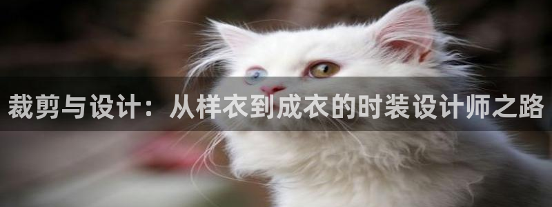 天辰娱乐路线