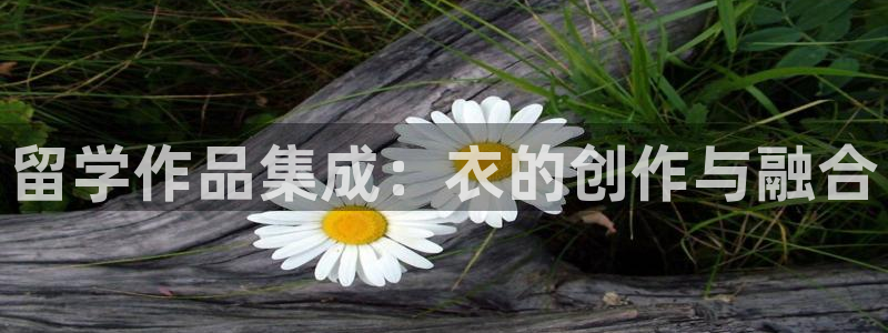 天辰娱乐首选