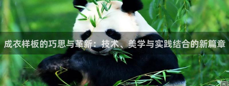 天辰娱乐下载链接