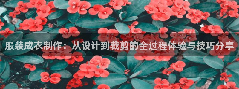 天辰娱乐会员