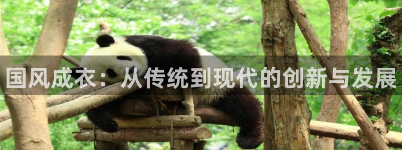 天辰娱乐下载