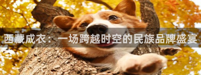 天辰娱乐跑的快