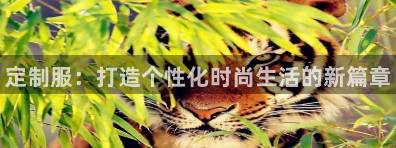 天辰娱乐平台地址