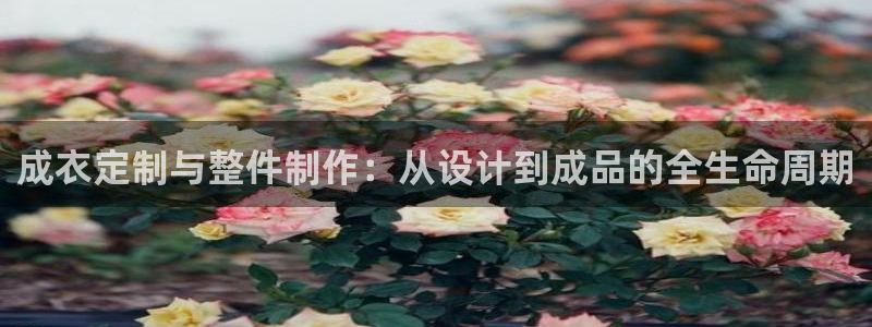 天辰娱乐游客