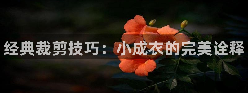 天辰娱乐客服