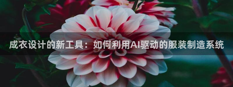 天辰娱乐 849852