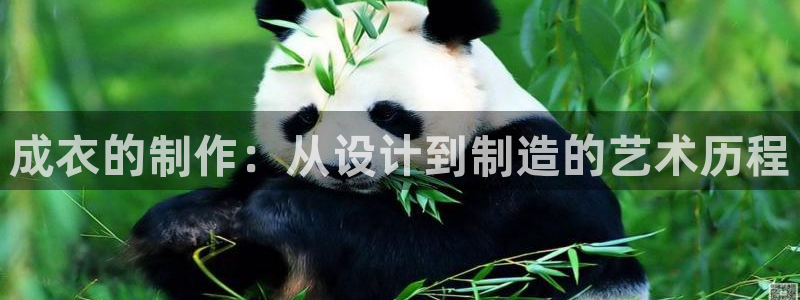 天辰app娱乐