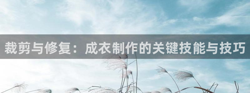 手机上怎么下载天辰娱乐