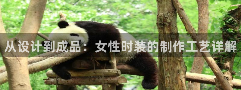 天辰娱乐登录测试